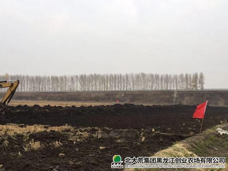930f397a34b6586616d902f5e86b578_副本.jpg