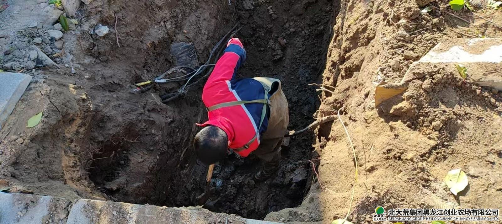 微信图片_20251014131243_546_515.jpg 微信图片_20251014131243_546_515.jpg