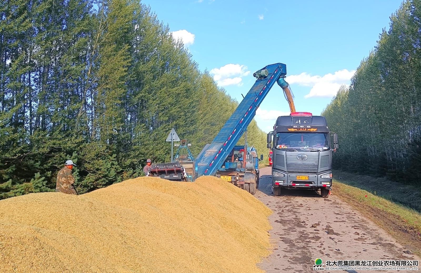 WechatIMG731 2.jpg WechatIMG731 2.jpg