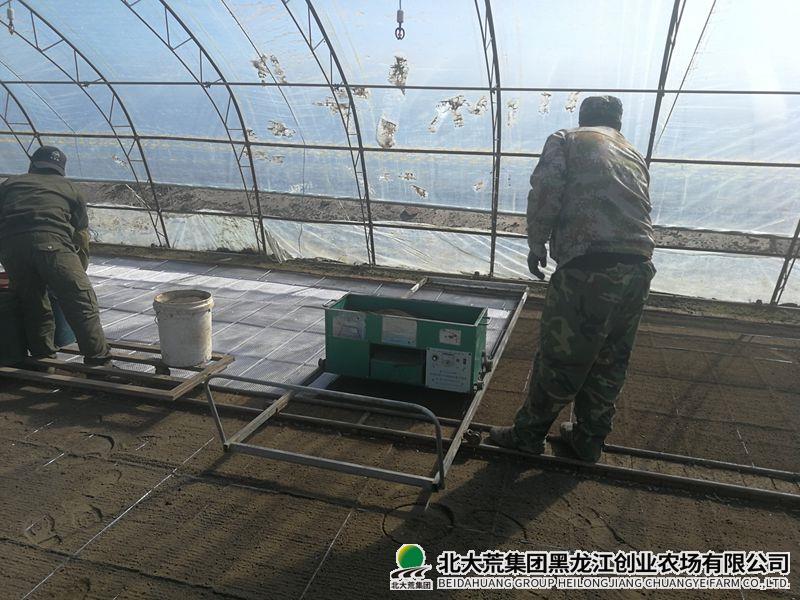 IMG_20260319_091456_副本800.jpg IMG_20260319_091456_副本800.jpg