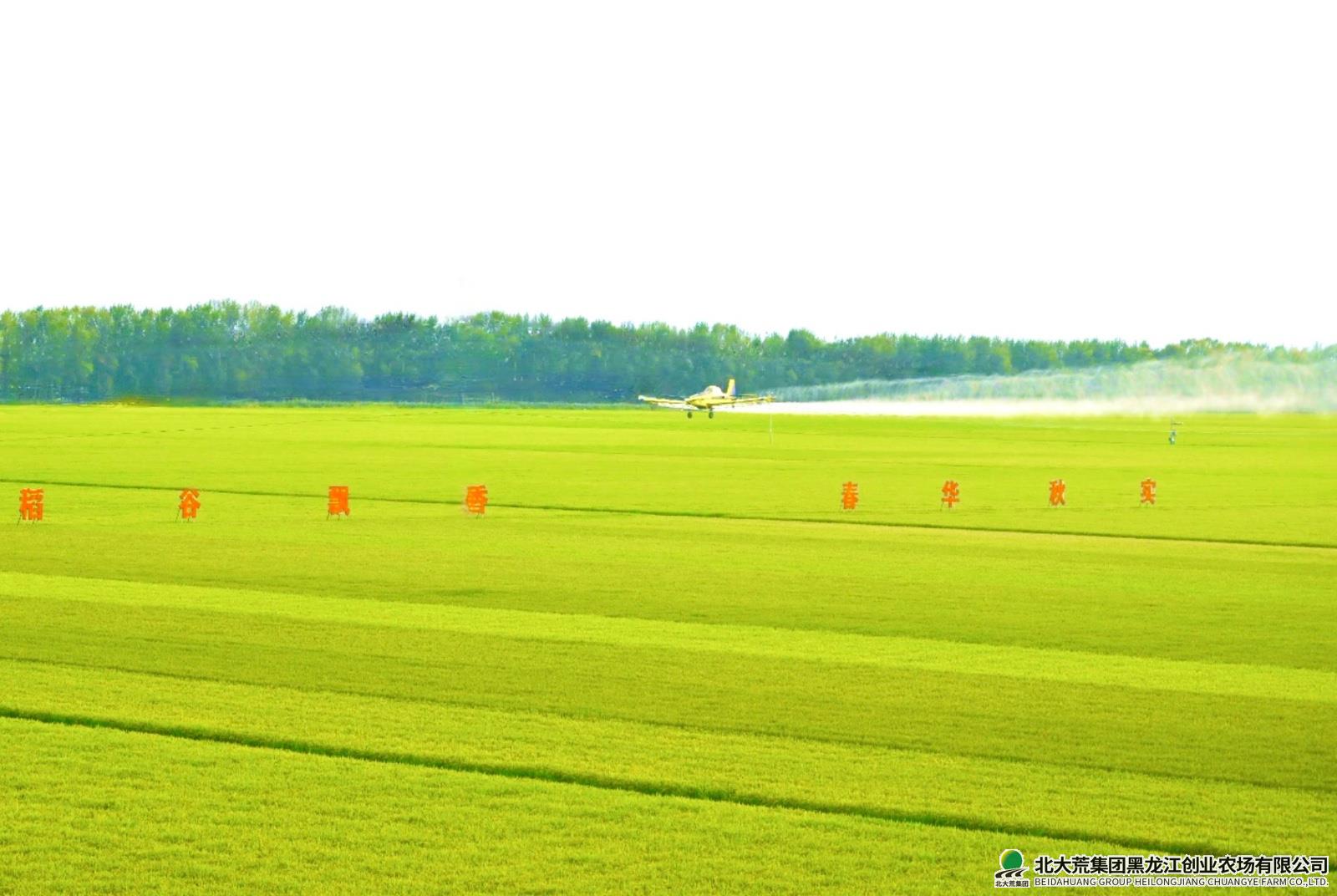 QQ20250826-091234.jpeg