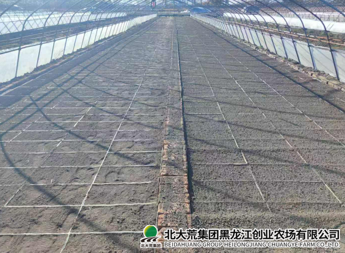 QQ_1761716818807.png QQ_1761716818807.png