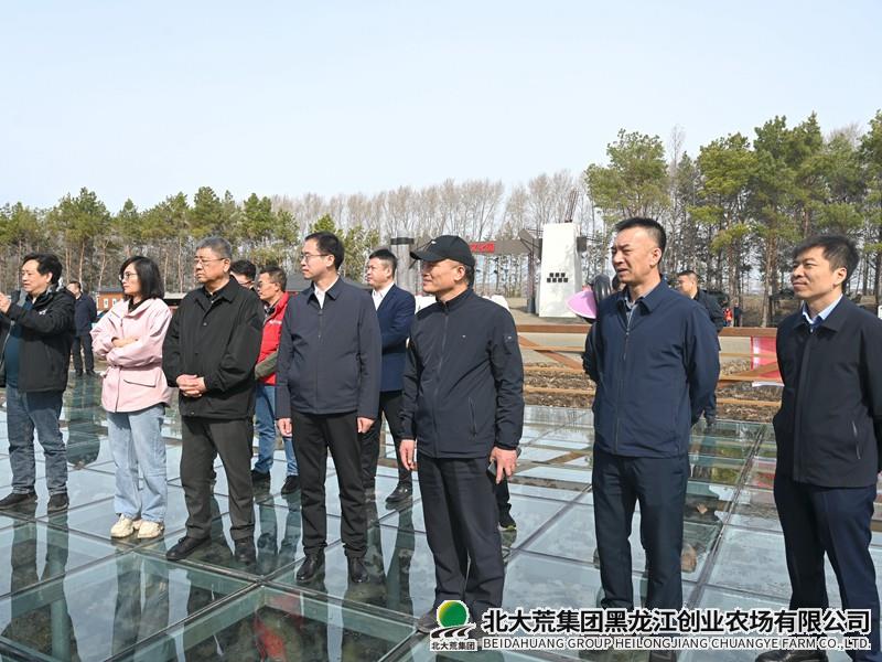 DSC_2630_副本_副本.jpg