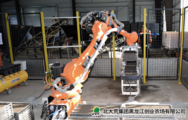 QQ20241129-103902.png