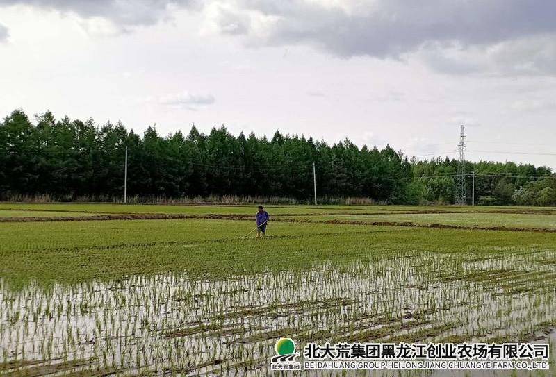 sy_6372599003841200009413863_看图王.jpg