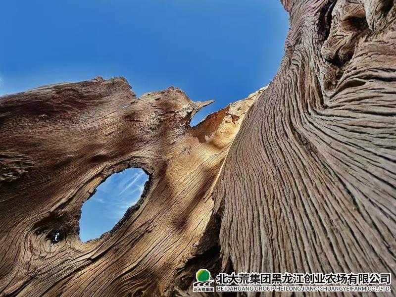 微信图片_20250409095450_副本.jpg