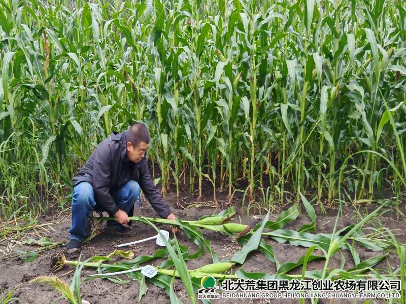 微信图片_20250819151735(1).jpg