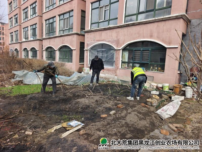 绿化.jpg