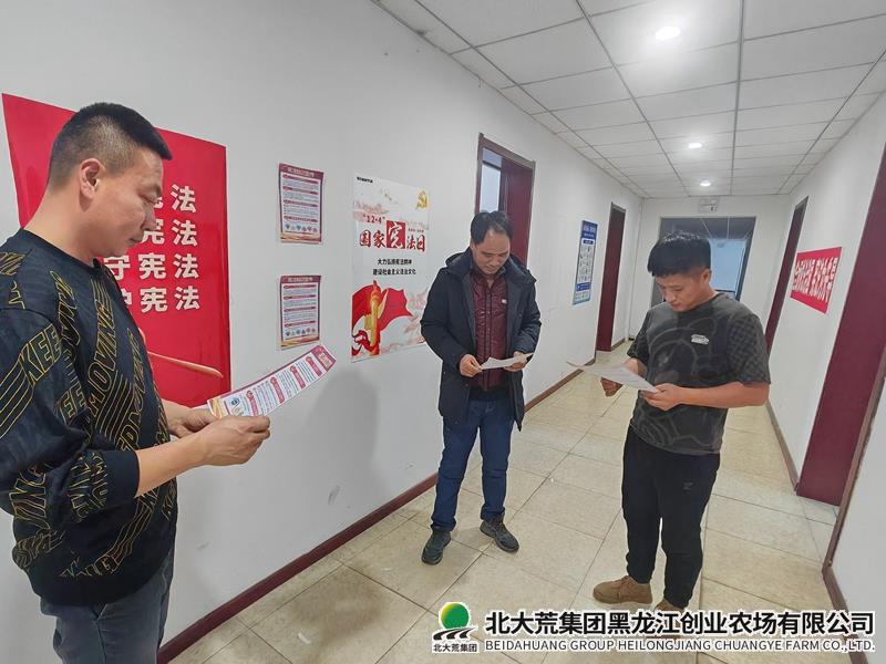 照片2025IMG_20241201_150019.jpg 照片2025IMG_20241201_150019.jpg