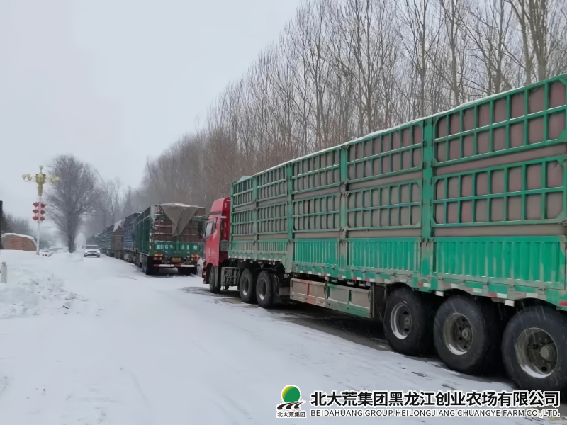 微信图片_20250217080432_副本.png