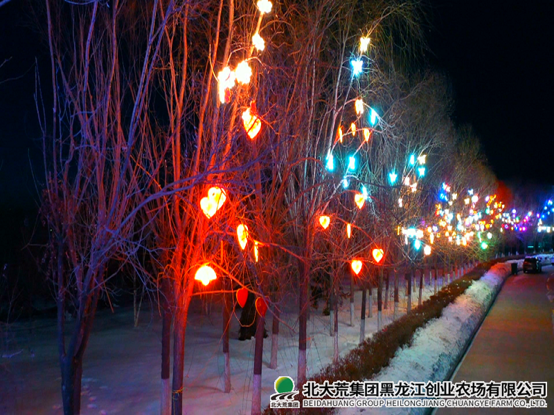 0103 创业片尾[00_01_43][20240104-083132].png