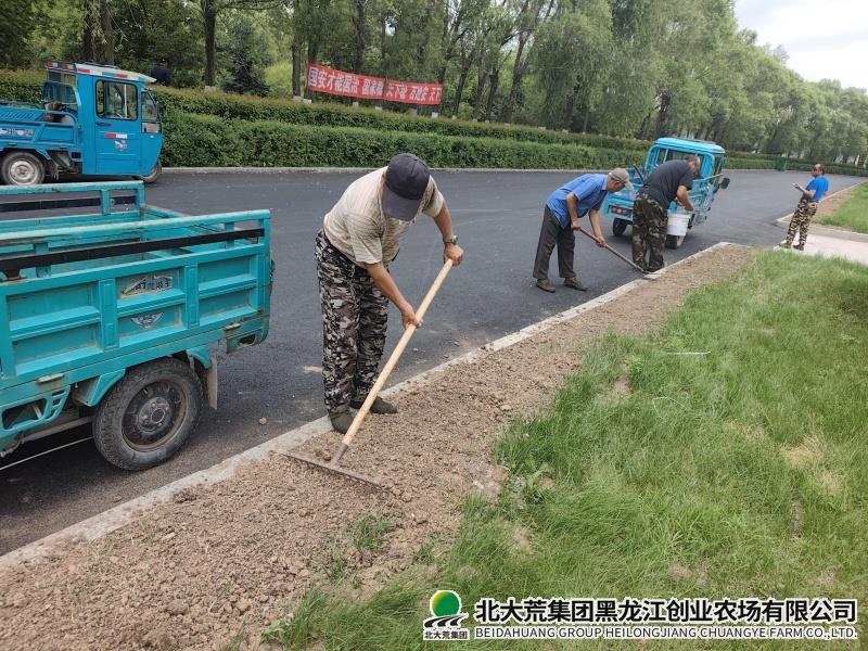 补种那个.jpg
