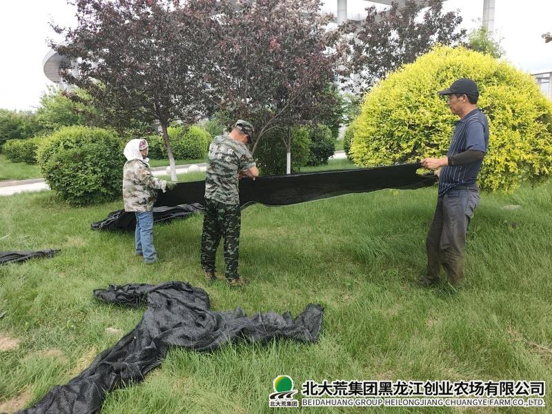 遮阳网.jpg