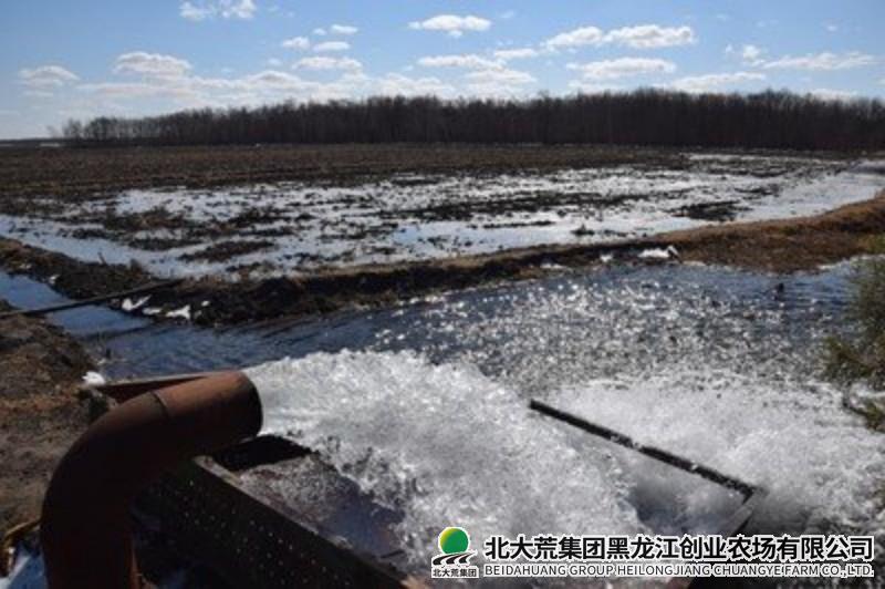 抽水泡田_副本.jpg 抽水泡田_副本.jpg