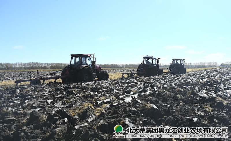 QQ20251016-144642.png