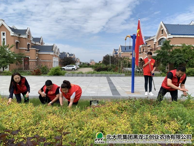 党群干群拔草护绿.jpg