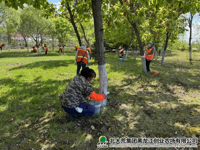 刷树.jpg