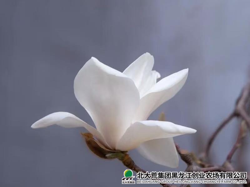 微信图片_20241118081828.jpg