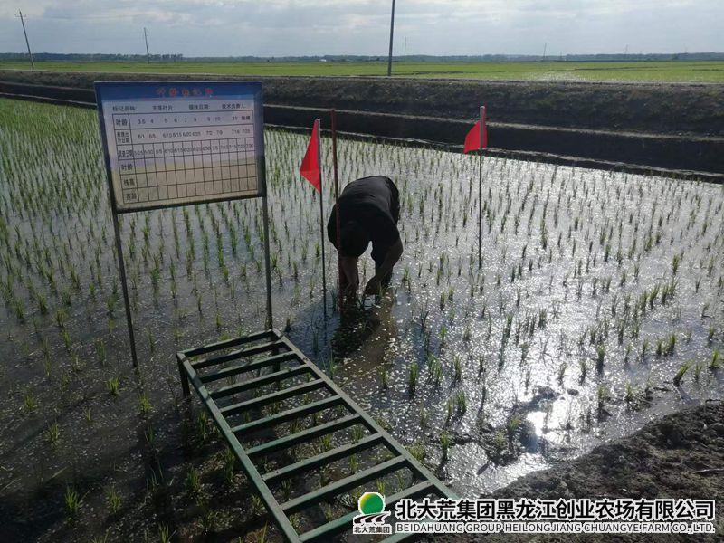 微信图片_20250611090749_副本800.jpg