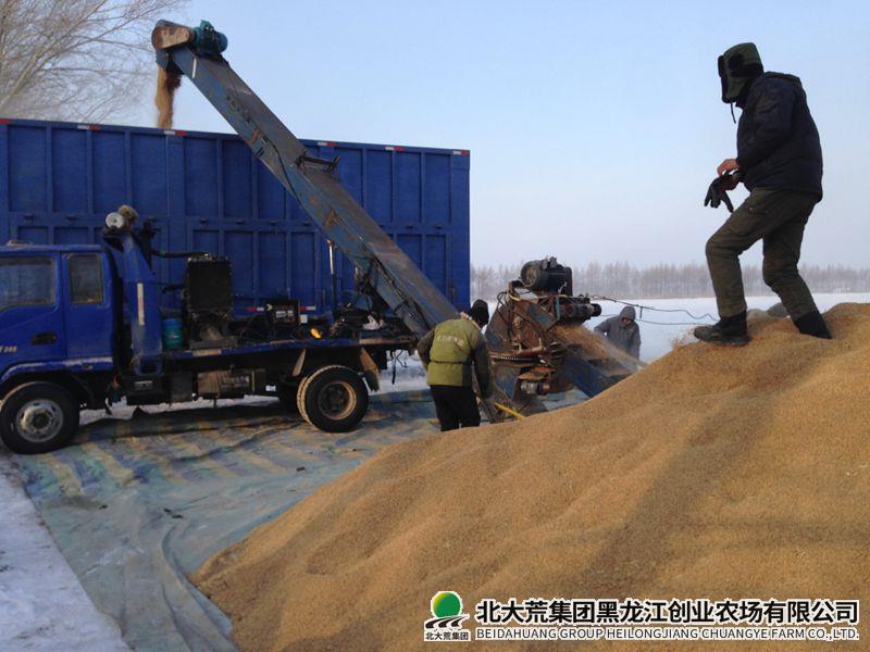 IMG_202512309317_副本800.jpg IMG_202512309317_副本800.jpg