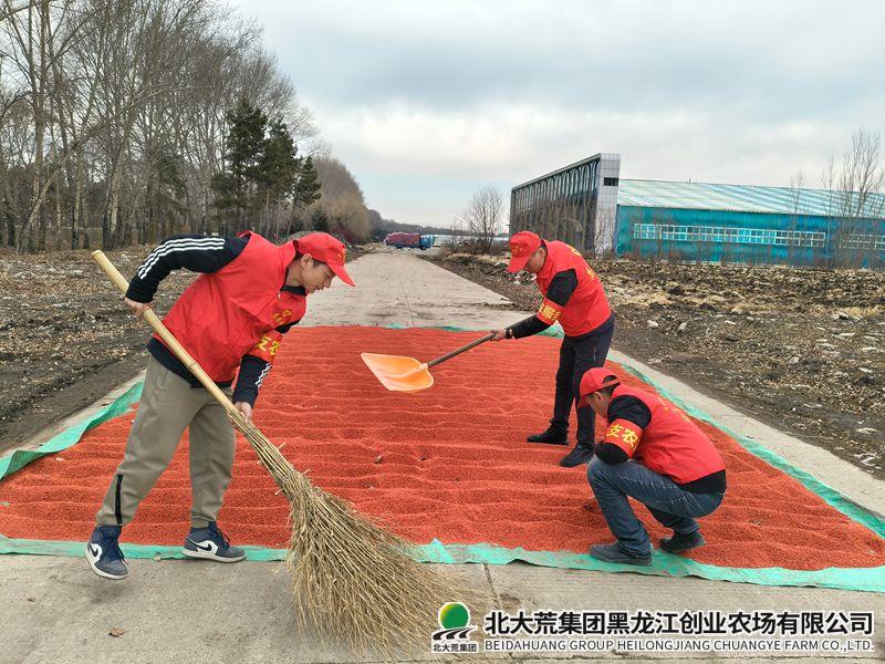 微信图片_20260401151937_副本800.jpg