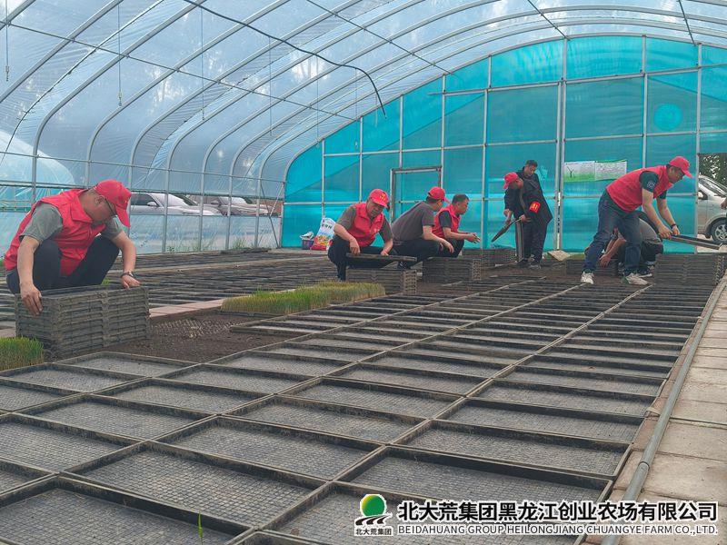 微信图片_20260525152534_副本800.jpg