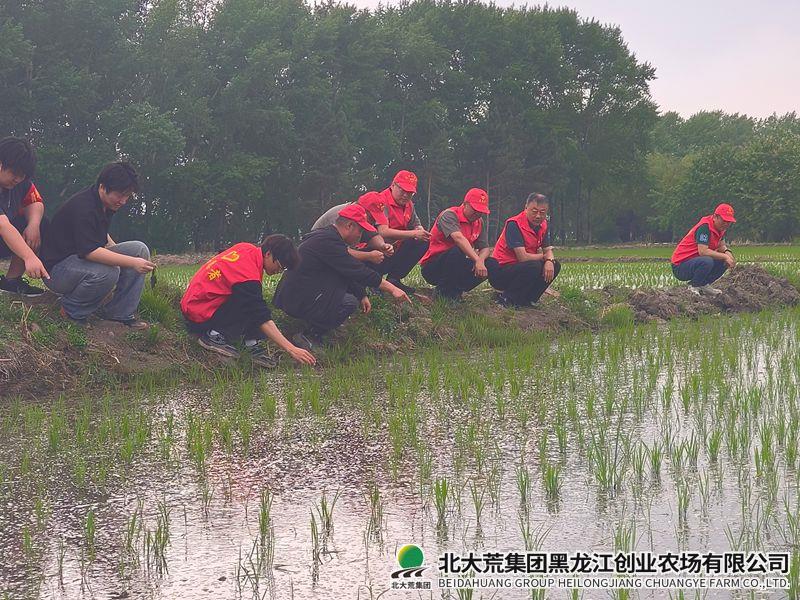 微信图片_20260525152606_副本800.jpg