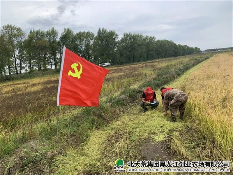 秋收.jpg