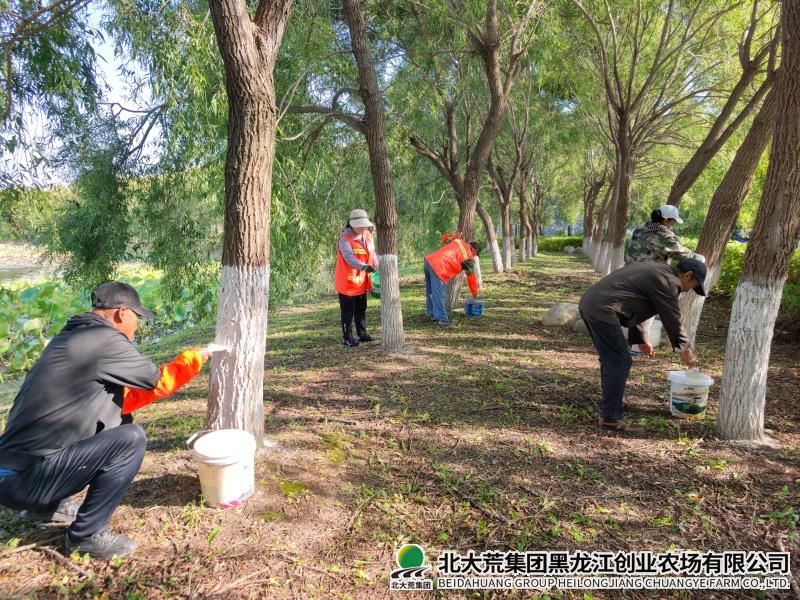 绿化.jpg