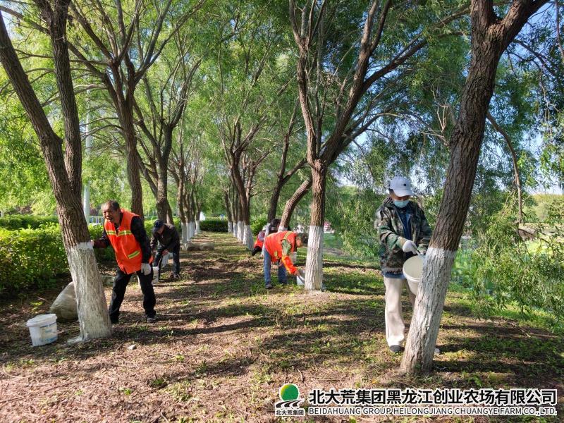 绿化1.jpg