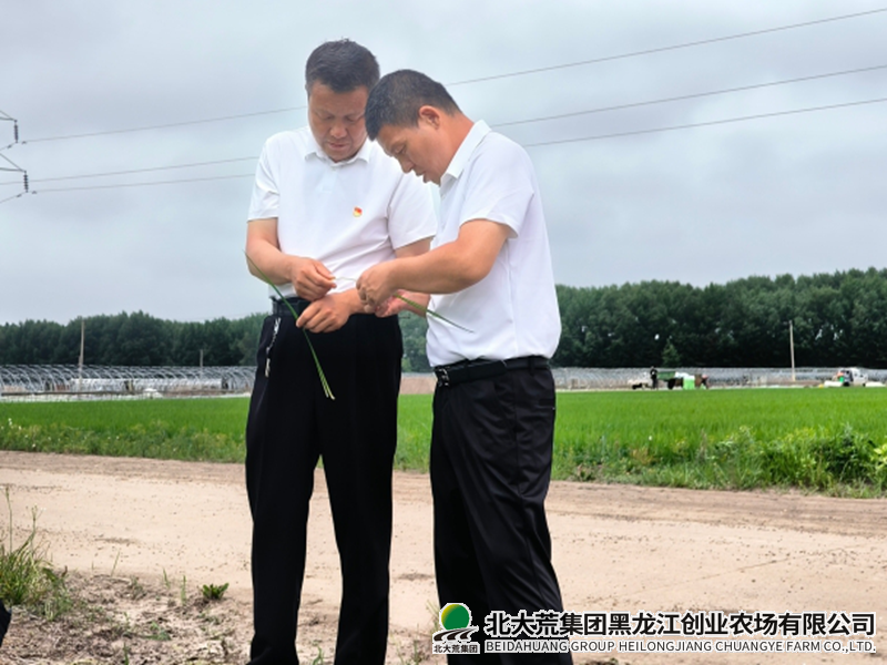 微信截图_20260703082628_副本800.png