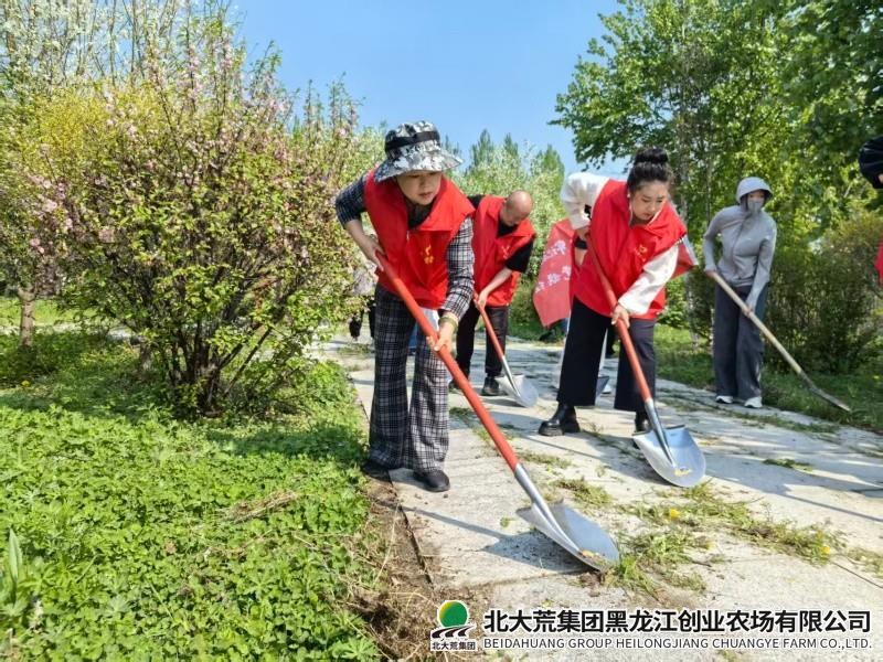除草1.jpg