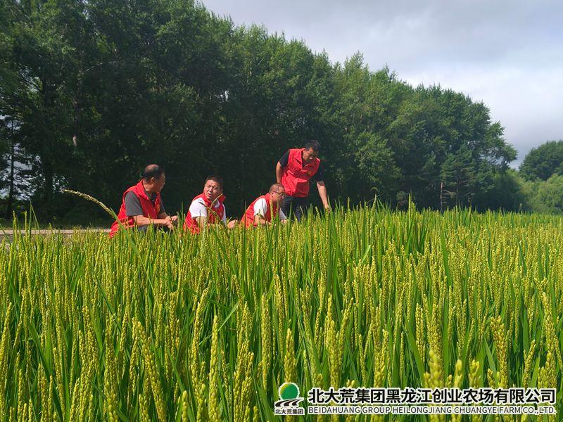 微信图片_20260729100532_副本800.jpg