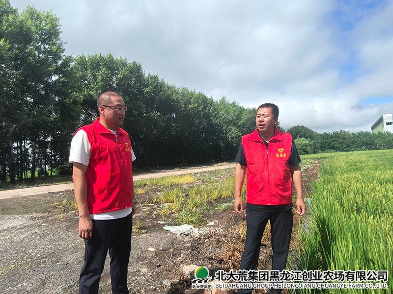 微信图片_20260729100524_副本800.jpg