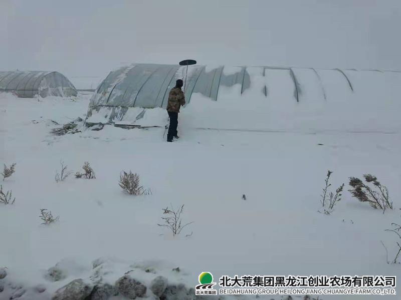 大棚清雪.jpg