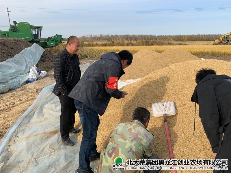 粮食销售.jpg