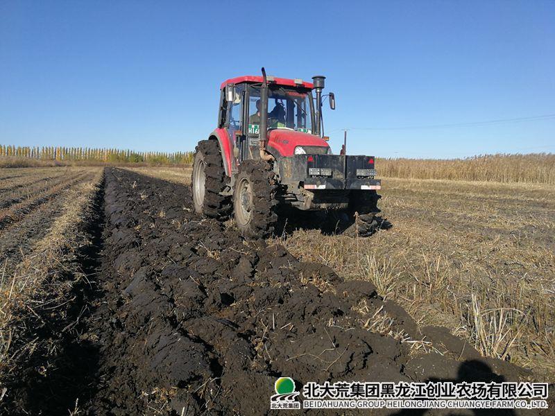 20251017_800.jpg 20251017_800.jpg