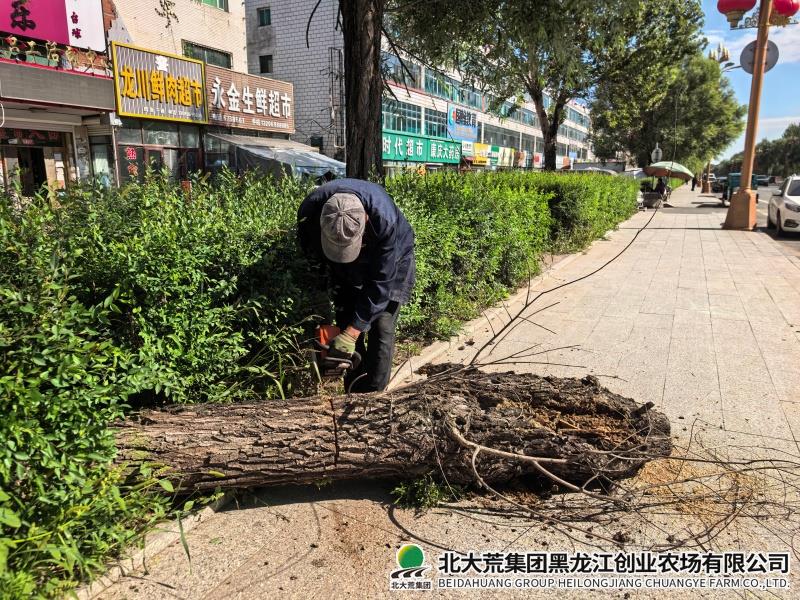 LIUXIN .jpg
