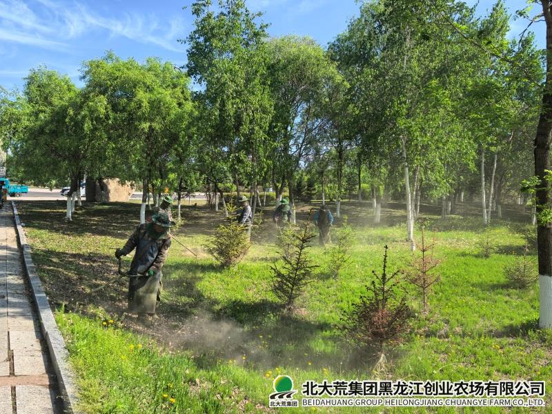 打车啊.jpg