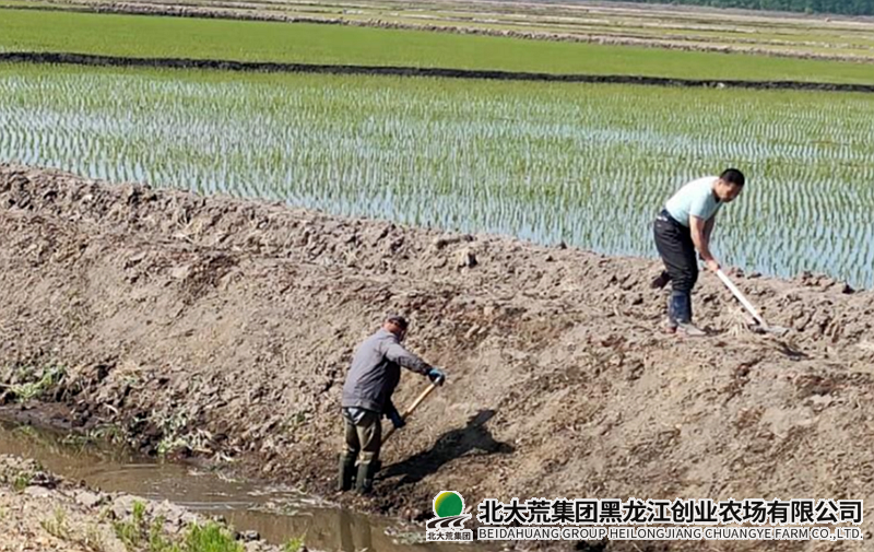微信图片_2026-06-12_094023_892.png