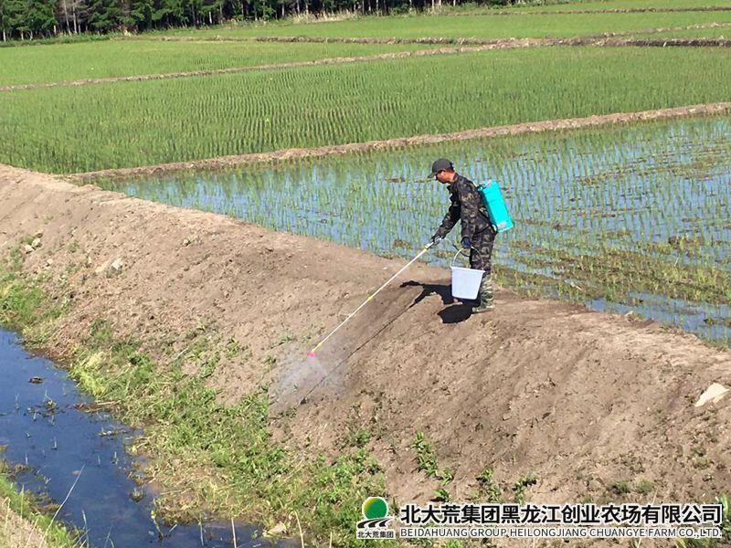 微信图片_20260603085955_副本800.jpg