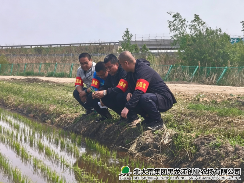 QQ20260528-071352_副本800.png QQ20260528-071352_副本800.png