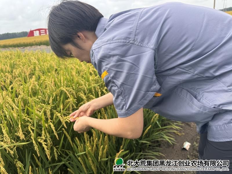 微信图片_202608181405161_副本.jpg