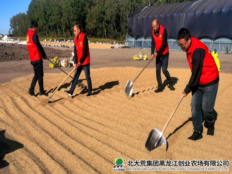 “党建引领助秋收 志愿服务保丰收”主题党日暨志愿服务活动1_副本.jpg “党建引领助秋收 志愿服务保丰收”主题党日暨志愿服务活动1_副本.jpg