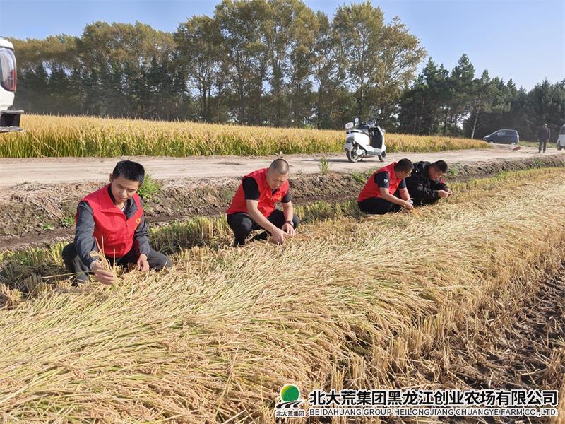党员干部一线助力秋收.jpg