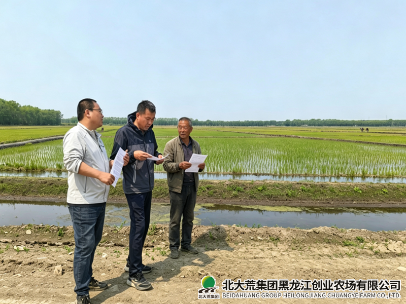 QQ20260611-080502_副本800.png