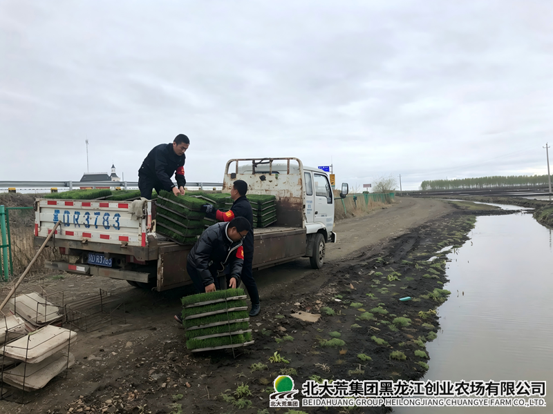 微信图片_20260513100139_副本800.png