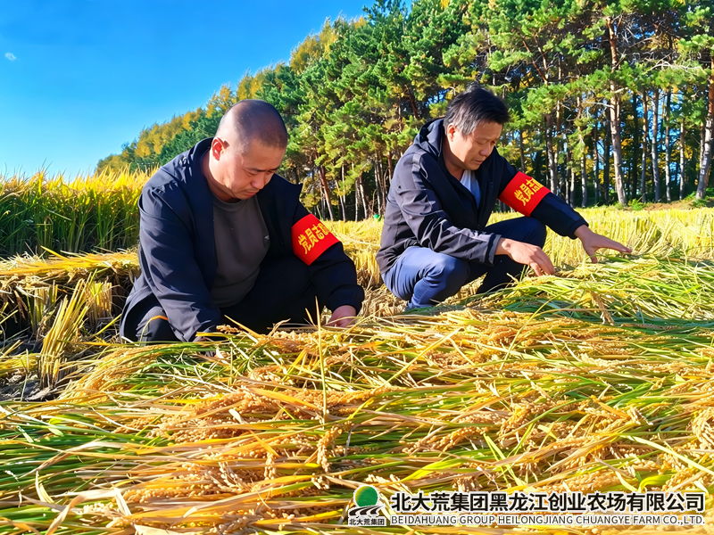 微信图片_20260922144853_副本800.png 微信图片_20260922144853_副本800.png