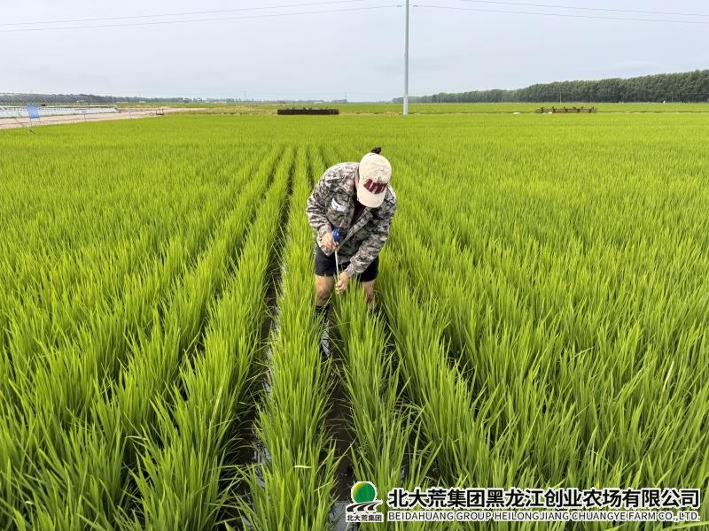 2540f2a7fdc28ff03045e2dae0f100d_副本.jpg