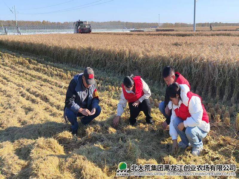 微信图片_20251011084343_9_11.jpg 微信图片_20251011084343_9_11.jpg